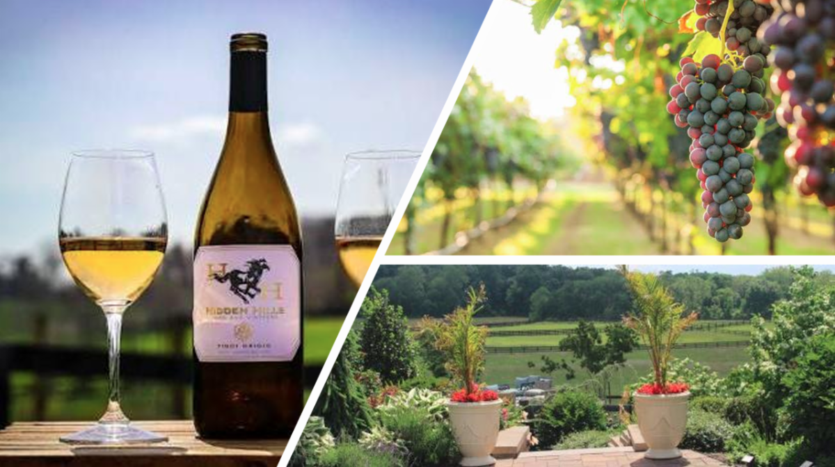 Hidden Hills Farm and Vineyard