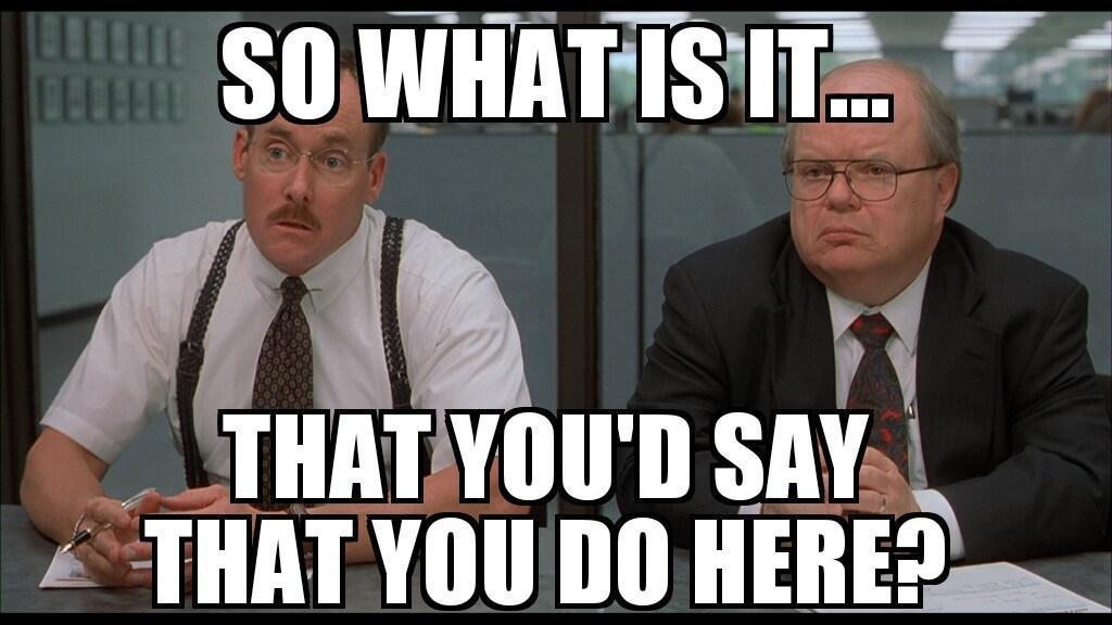 Office Space meme: So what is it that you would say you do here?