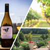 Hidden Hills Farm and Vineyard